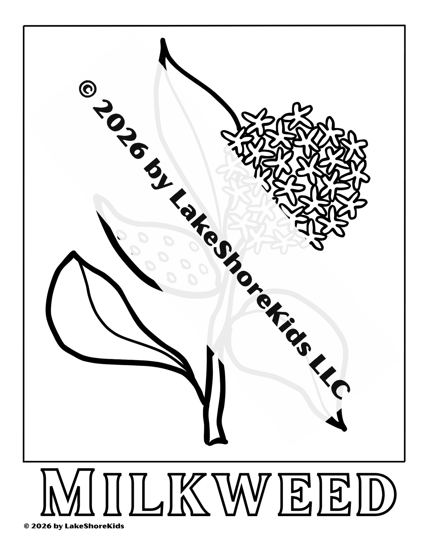 Common Milkweed Coloring Page 3+  156KB PDF Download