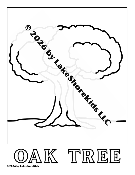 Big Bushy Oak Tree Coloring Page 3+ 156 KB PDF Download